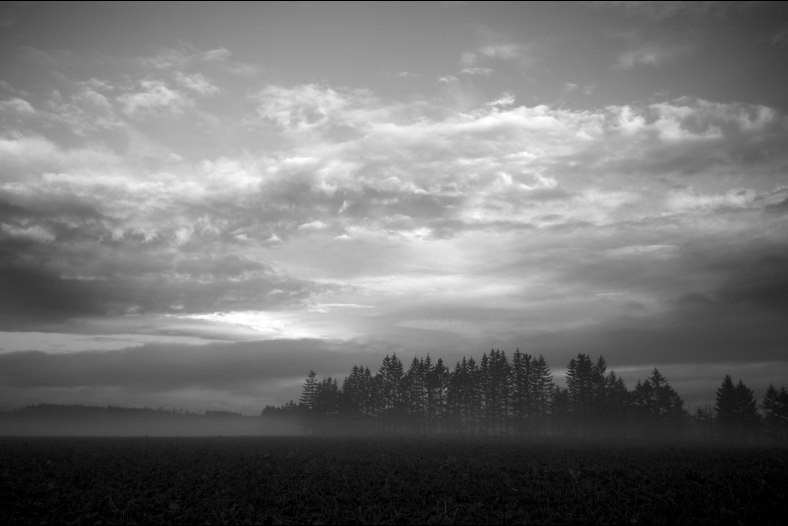 Northern Land